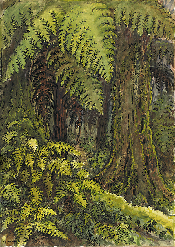 Kiwi Forest Art 016